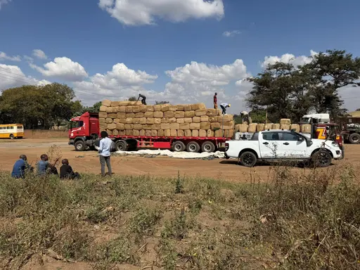 Ngala Farms background